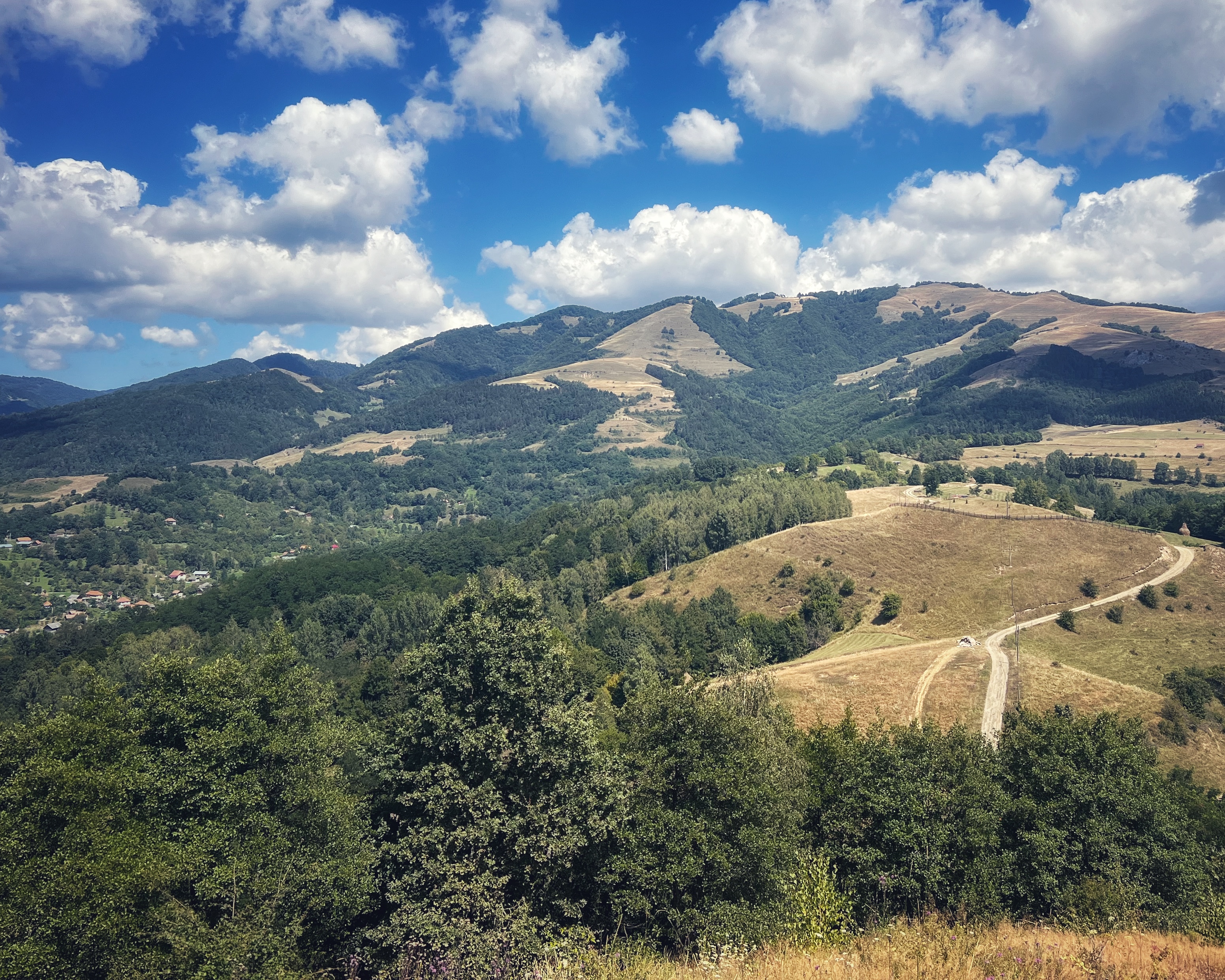 Hills of Zlatna, 2023